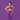 Women's Activewear
