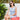 Women's Dresses